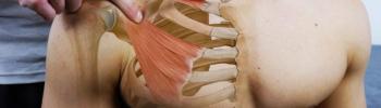 Fisioterapia para el síndrome de la salida torácica: estiramientos y fortalecimiento