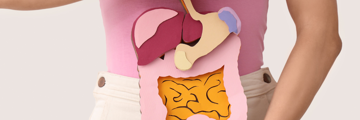 Osteopatía visceral: ¿Cómo mejora la salud digestiva y el bienestar general?