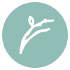 indiba menopausia Bilbao 