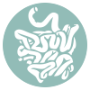 osteopatia visceral bilbao 